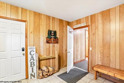 868 Cabin Mountain Road Davis WV 26260
