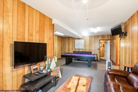 868 Cabin Mountain Road Davis WV 26260