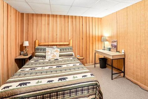 868 Cabin Mountain Road Davis WV 26260
