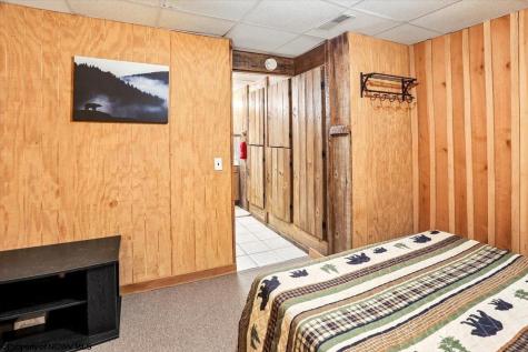 868 Cabin Mountain Road Davis WV 26260