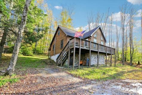 868 Cabin Mountain Road Davis WV 26260