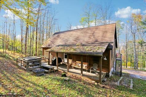 868 Cabin Mountain Road Davis WV 26260