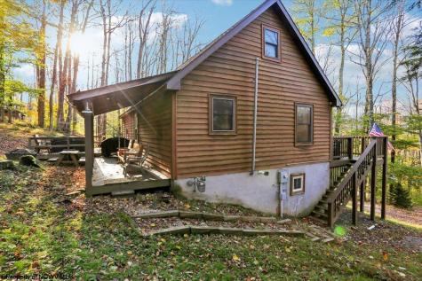 868 Cabin Mountain Road Davis WV 26260