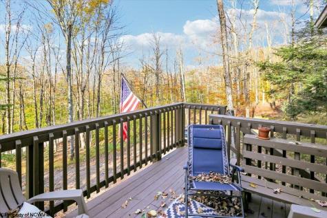 868 Cabin Mountain Road Davis WV 26260
