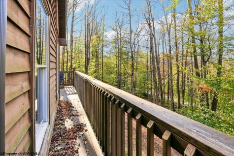 868 Cabin Mountain Road Davis WV 26260