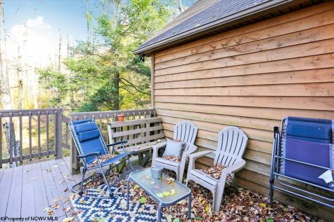 868 Cabin Mountain Road Davis WV 26260