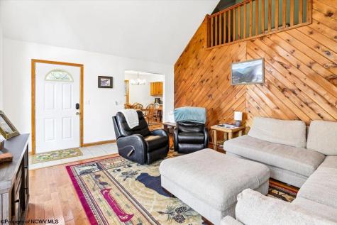 868 Cabin Mountain Road Davis WV 26260