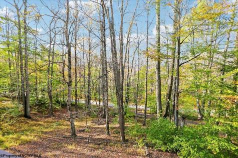 868 Cabin Mountain Road Davis WV 26260