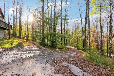 868 Cabin Mountain Road Davis WV 26260