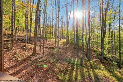 868 Cabin Mountain Road Davis WV 26260