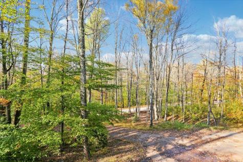 868 Cabin Mountain Road Davis WV 26260