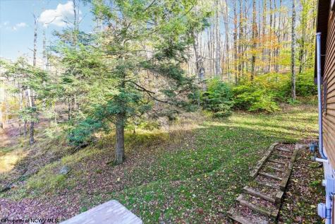 868 Cabin Mountain Road Davis WV 26260