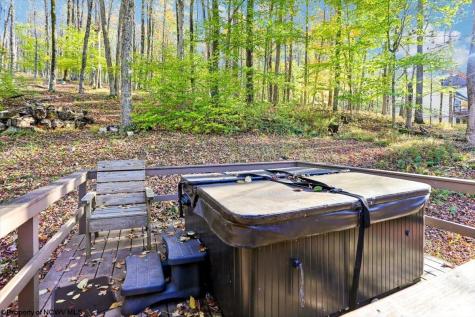 868 Cabin Mountain Road Davis WV 26260