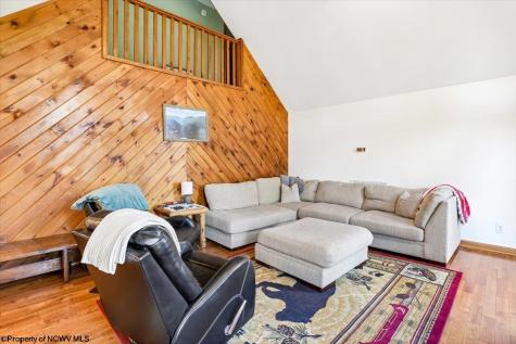 868 Cabin Mountain Road Davis WV 26260