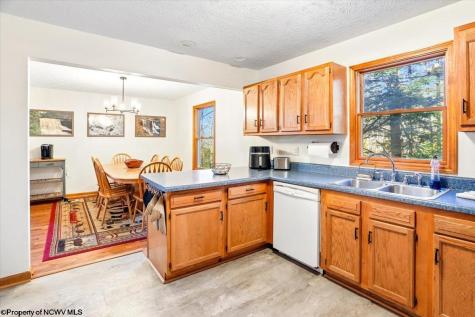 868 Cabin Mountain Road Davis WV 26260