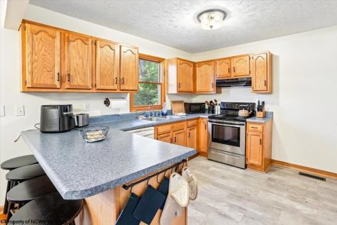 868 Cabin Mountain Road Davis WV 26260