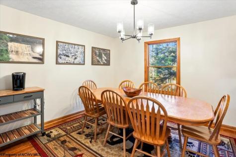 868 Cabin Mountain Road Davis WV 26260