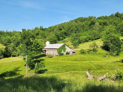 580 Deer Haven Drive Lost Creek WV 26385