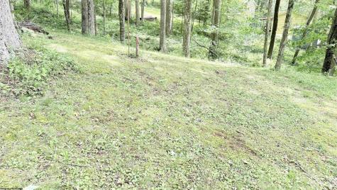118 Blue Grouse Lane Montrose WV 26283