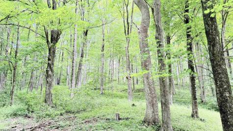 118 Blue Grouse Lane Montrose WV 26283