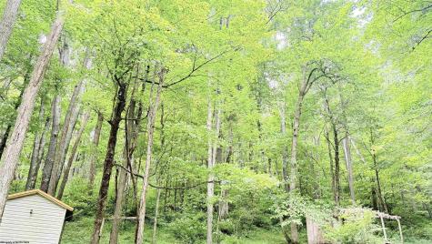 118 Blue Grouse Lane Montrose WV 26283