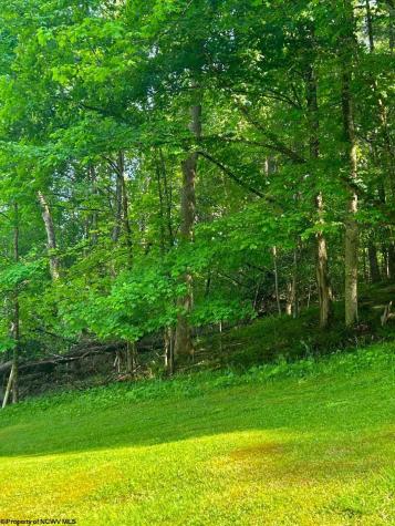 2710 Little Sand Run Road Buckhannon WV 26201