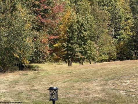 1125 Goff School Road Belington WV 26250