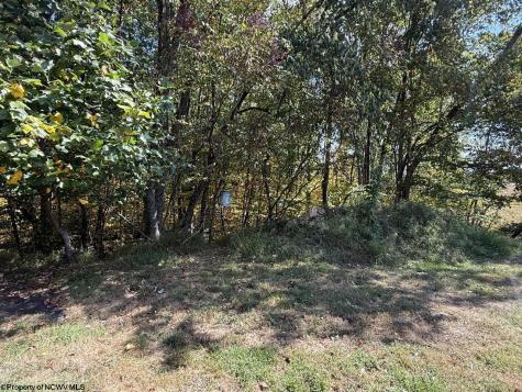 1125 Goff School Road Belington WV 26250