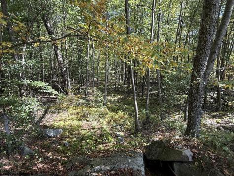 1125 Goff School Road Belington WV 26250