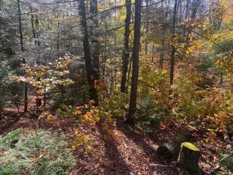 65 Black Dog Run Road Bowden WV 26254