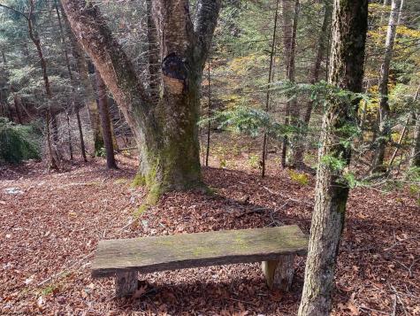 65 Black Dog Run Road Bowden WV 26254