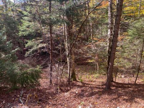 65 Black Dog Run Road Bowden WV 26254