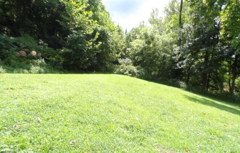 85 Forinash Road Weston WV 26452-0000