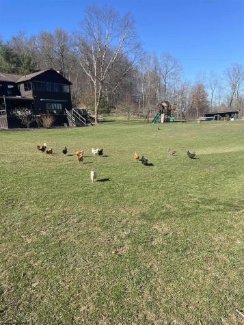 561 Creed Isner Road Kerens WV 26276