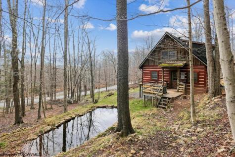 54 Cabin Mountain Road Davis WV 26260