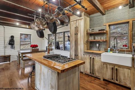 54 Cabin Mountain Road Davis WV 26260