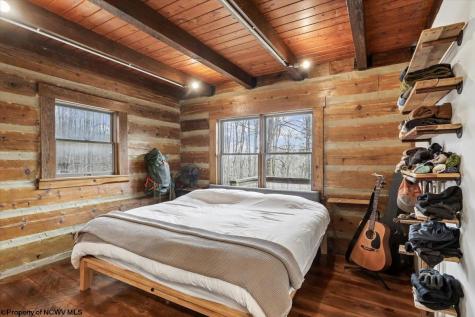 54 Cabin Mountain Road Davis WV 26260