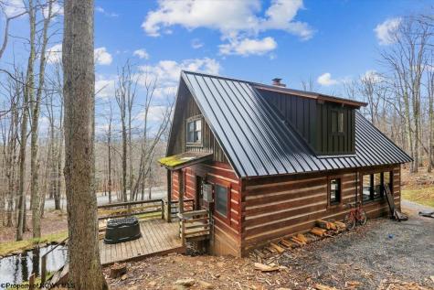 54 Cabin Mountain Road Davis WV 26260