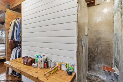 54 Cabin Mountain Road Davis WV 26260