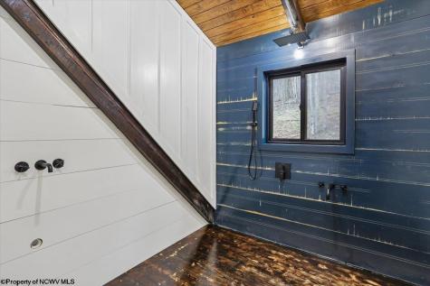 54 Cabin Mountain Road Davis WV 26260