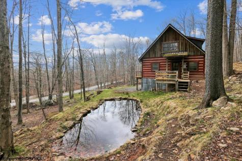 54 Cabin Mountain Road Davis WV 26260