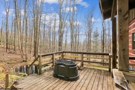54 Cabin Mountain Road Davis WV 26260