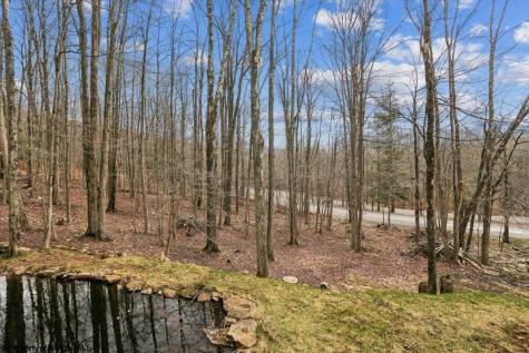54 Cabin Mountain Road Davis WV 26260