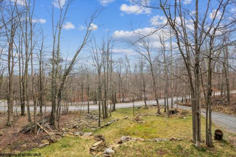 54 Cabin Mountain Road Davis WV 26260