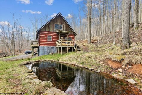 54 Cabin Mountain Road Davis WV 26260