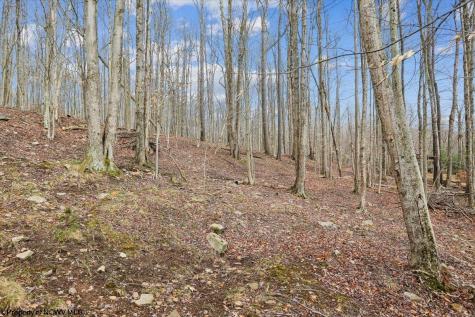 54 Cabin Mountain Road Davis WV 26260