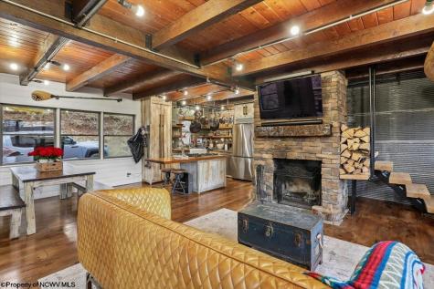 54 Cabin Mountain Road Davis WV 26260