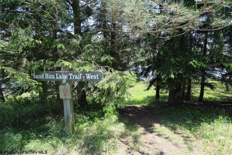 54 Cabin Mountain Road Davis WV 26260