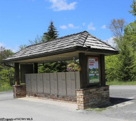 54 Cabin Mountain Road Davis WV 26260