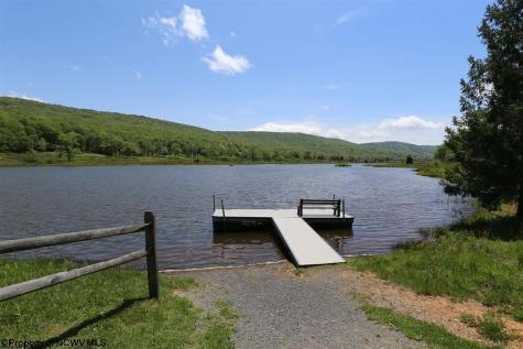 54 Cabin Mountain Road Davis WV 26260